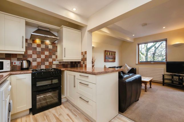 28, Finlake Holiday Park, Newton Abbot photo 3