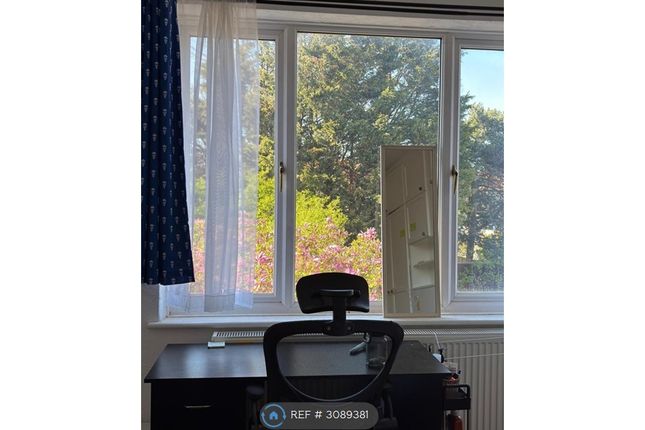 Surbition Uk, Surbiton photo 3