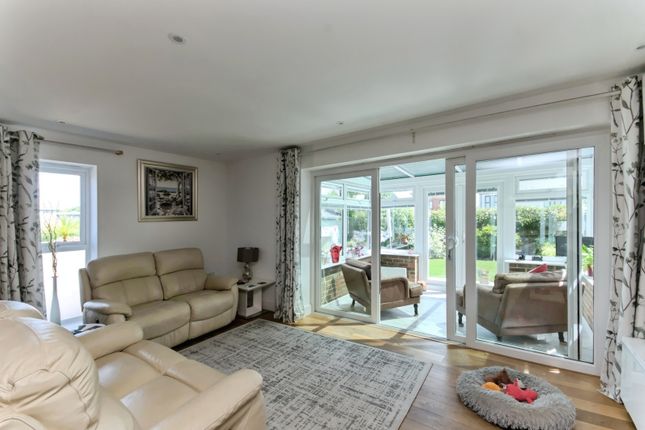 46, Cornflower Crescent, East Sussex photo 3