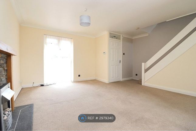 Daffodil Way, Chelmsford photo 2