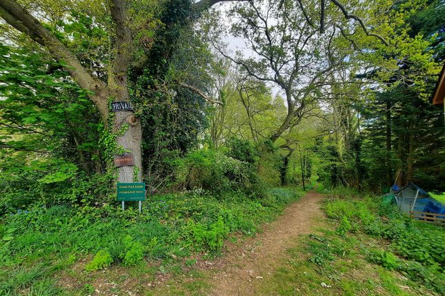 Detached bungalow for sale in Finneys Drift, Nacton, Ipswich