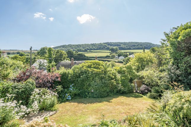 7, Davids Close, Sidmouth photo 3