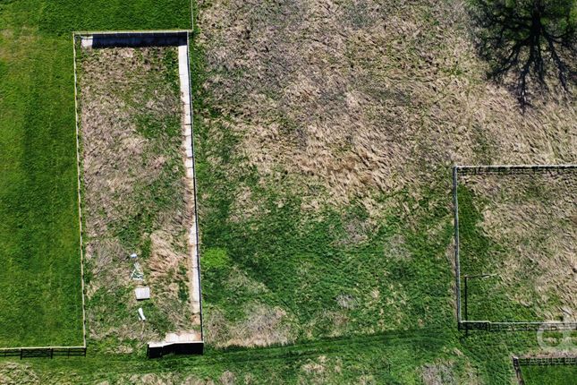 Dji_Fly_20230404_143902_286_1680942818184_Photo_Optimized