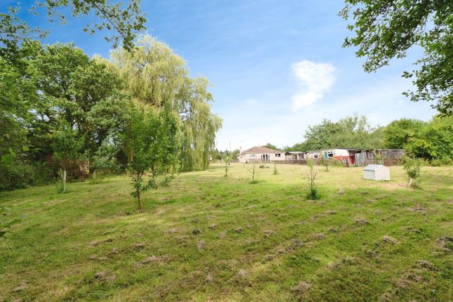 Thumbnail Bungalow for sale in Castledon Road, Billericay, Essex