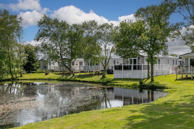 14 , Glendale Holiday Park, Port Carlisle photo 4