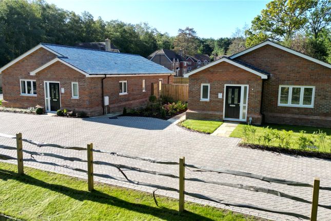 Thumbnail Detached house for sale in Whitegates, Chavey Down, Ascot