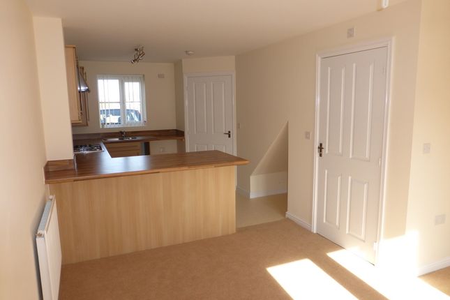 Terraced house to rent in Farmers Gate, Newport