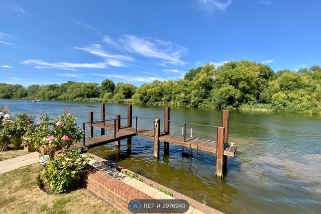 River Joy, Down Place Water Oakley, Windsor photo 4