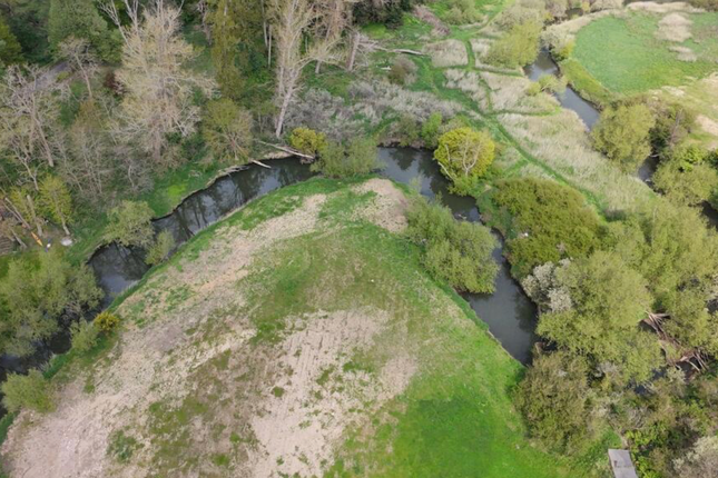 Alba Stables, Bridge Way, Cobham photo 4