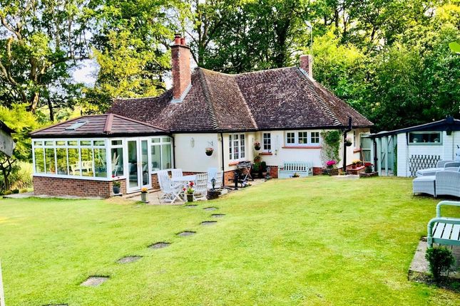 Holm Cottage,, Hampers Lane, West Sussex photo 2