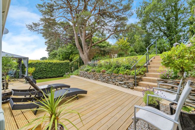 Decked Area