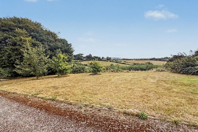 The Hollies, Down House Lane, Bridport photo 4