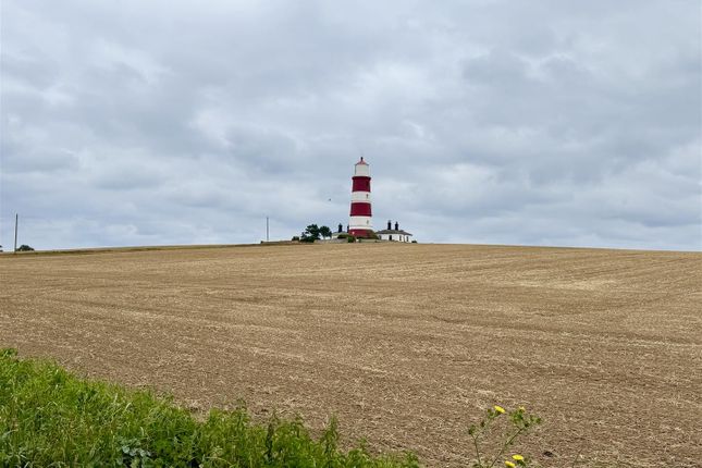 2, Lighthouse Lane, Norwich photo 3
