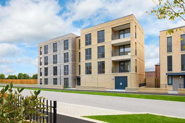 1 bed flat for sale in "Lifa  Apartment" at Spring Drive, Trumpington, Cambridge CB2