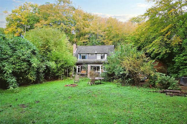 Detached house for sale in Beech Hill Road, Arford, Hampshire