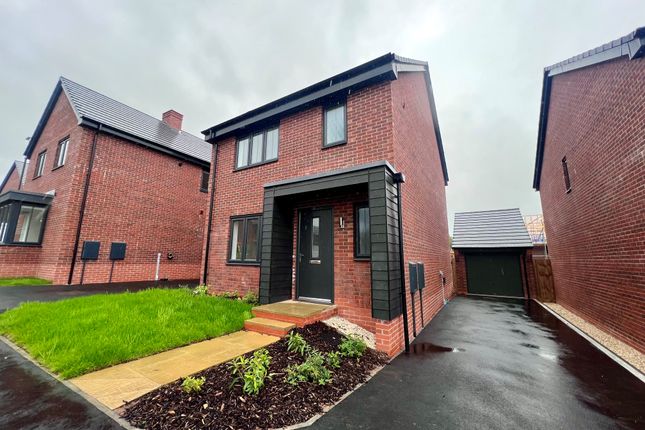 Thumbnail Detached house to rent in Springfield Drive, Allestree