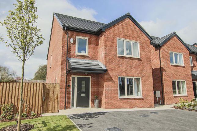 Beamer Gardens, 1, Roving Street, Great Harwood photo 3