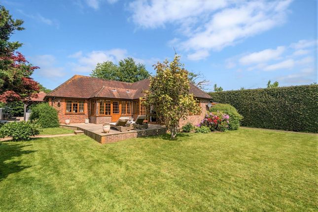 Thumbnail Detached bungalow for sale in Petworth Road, Chiddingfold