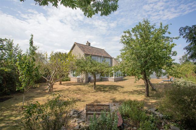 Dragonfly House,, Henley, Somerset photo 4