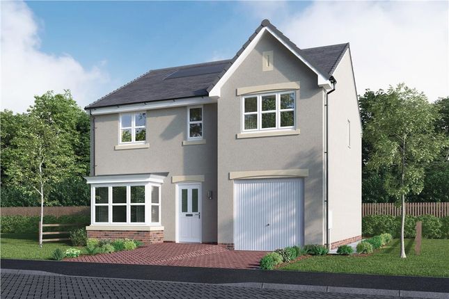 Thumbnail Detached house for sale in "Maplewood" at Calender Avenue, Kirkcaldy