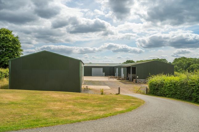 Farm for sale in Holt, Worcester, Worcestershire