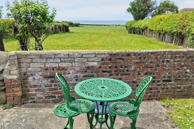 Browylan, Llanon photo 4