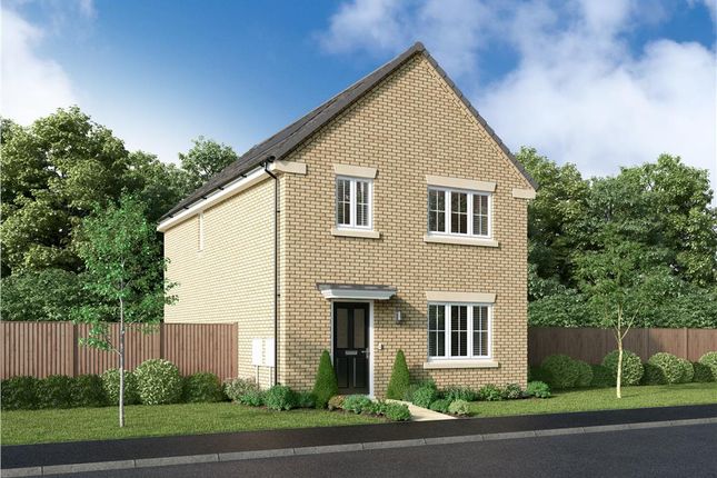 Thumbnail Detached house for sale in "The Hampton" at Off Durham Lane, Eaglescliffe