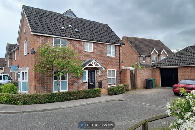 Semi-detached house to rent in Petty Spurge Square, Wymondham