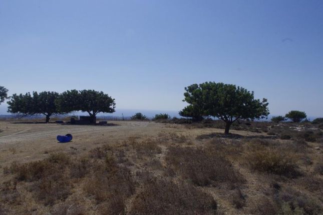 Land for sale in Konia, Paphos, Cyprus