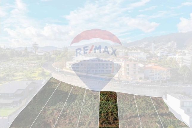 Thumbnail Land for sale in São Martinho, Funchal, Ilha Da Madeira