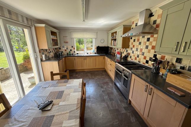 Glandewi, Llwyndafydd, Near Cwmtydu photo 5