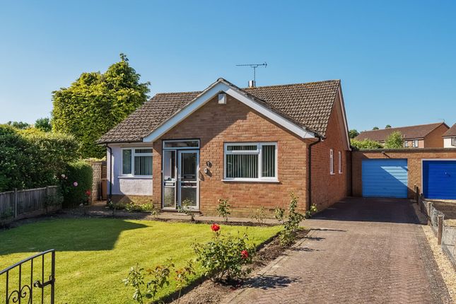 Thumbnail Detached bungalow for sale in Gloucester Close, Petersfield