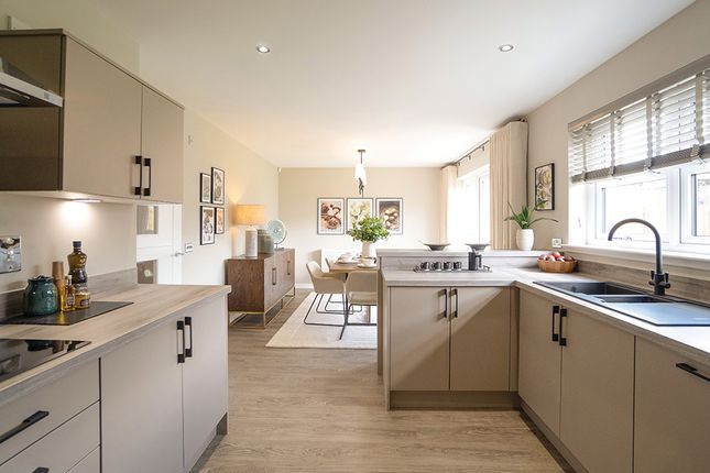 The Douglas, Plot 83, Wymet Grove, Millerhill photo 3