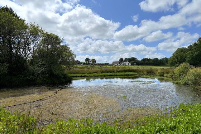 Waterlands Park, Holsworthy photo 5