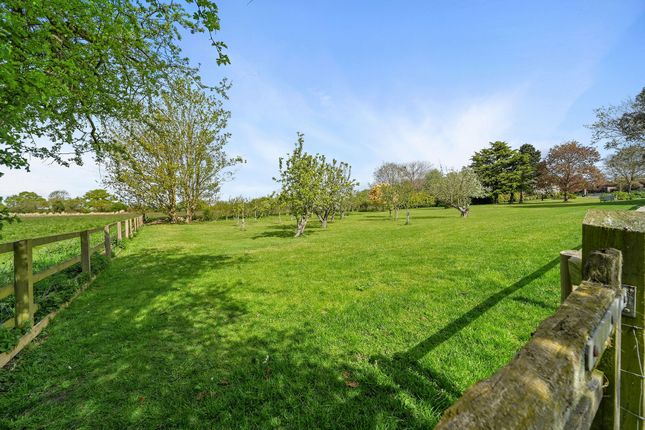 High Pale Farm, Sudbury Road, Sudbury photo 4