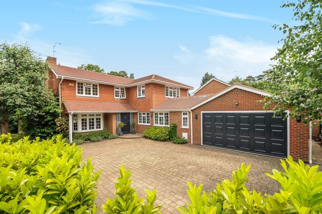 Thumbnail Detached house to rent in Hurstwood, Ascot