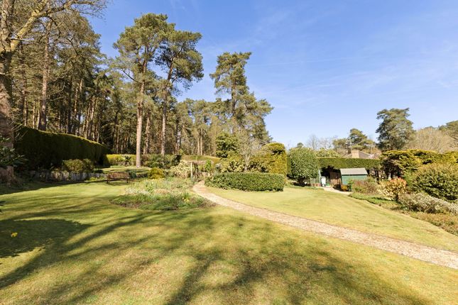 Ravenswood, 11, Star Hill Drive, Churt, Farnham photo 5