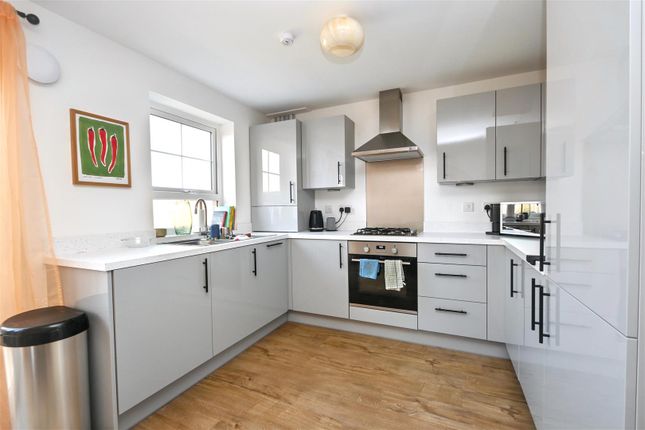 97, Wooller Street, Eastbourne photo 3
