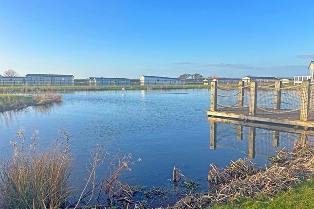 4 Otters Lake, Haven, Watchet photo 2