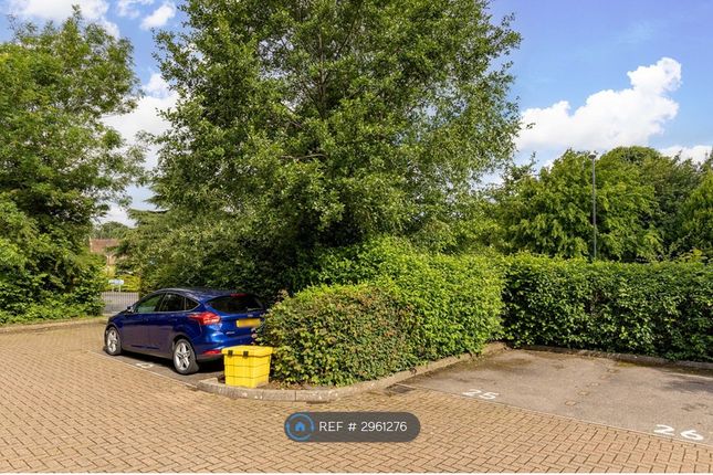 Delfont Close, Maidenbower, Crawley photo 3