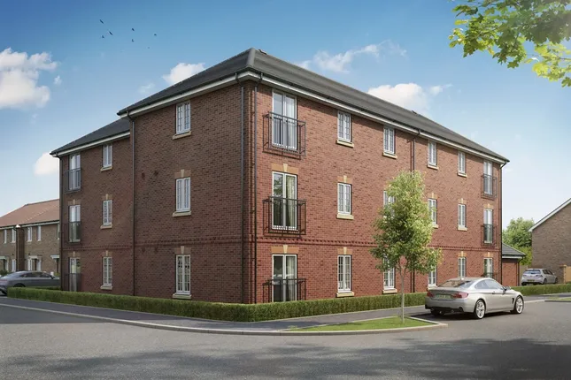 Taylor Wimpey - Thorn Fields