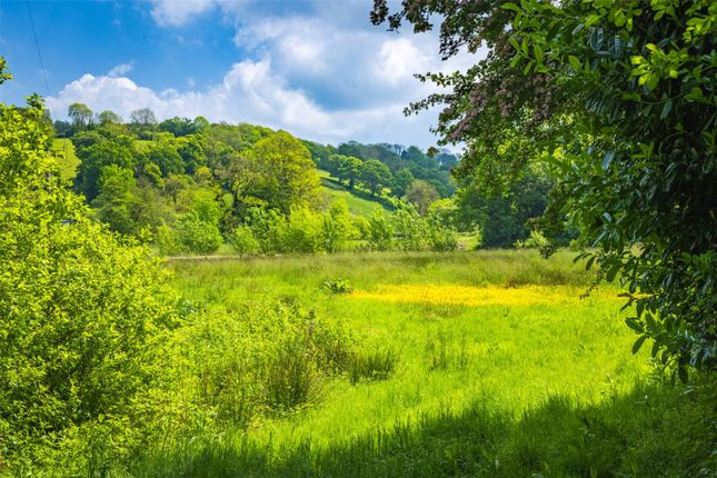 River Meadows
