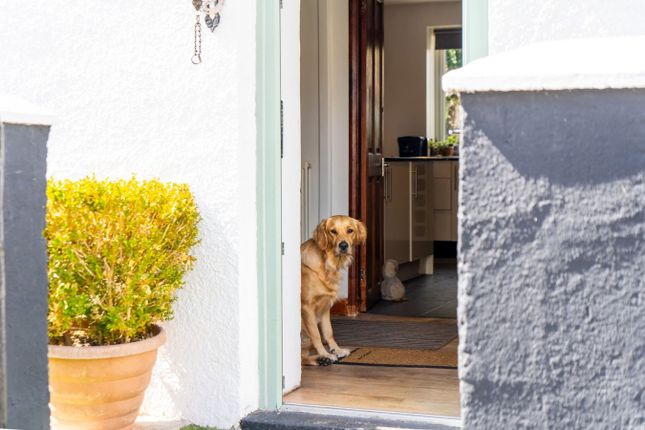 1 Chapel Cottage, Brecon photo 2