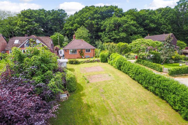 Thumbnail Bungalow for sale in School Lane, Lodsworth, Petworth