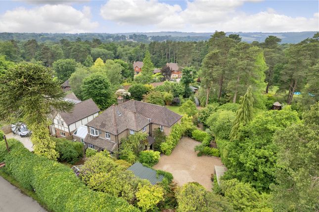 Robin Hill Aerial