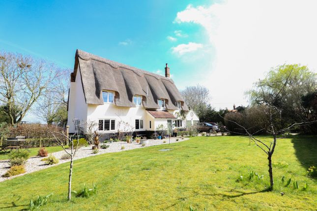 The Thatched House, School Road, Dereham photo 3