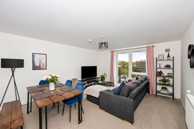 Flat 7, 46 Freehold Terrace, Brighton photo 4