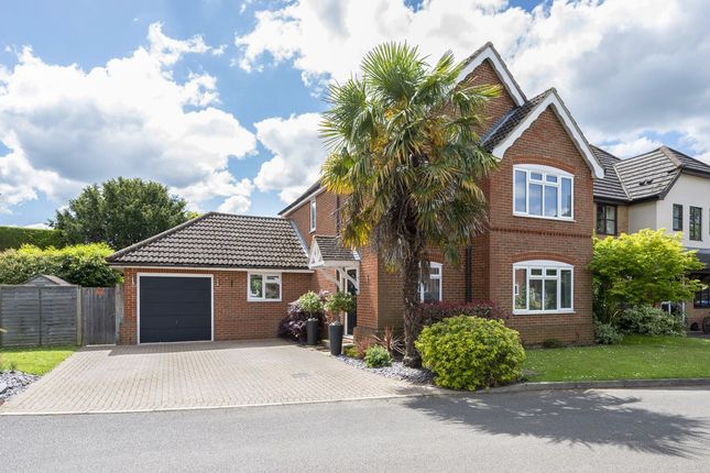 Thumbnail Detached house for sale in Maitland Close, Walton-On-Thames