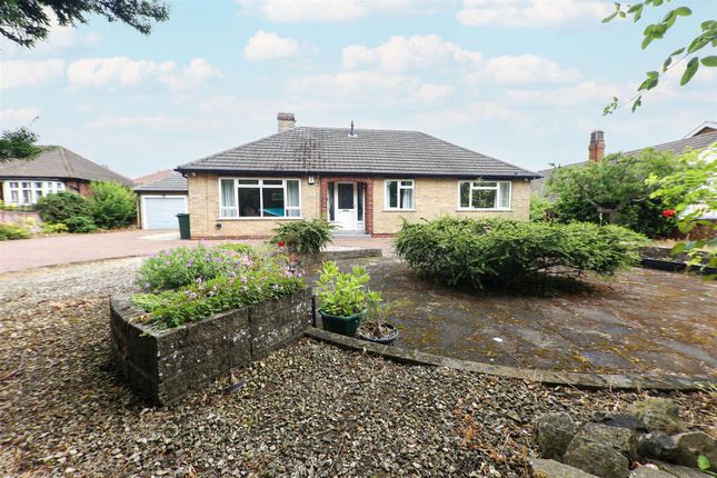 91, Jossey Lane, Doncaster photo 2