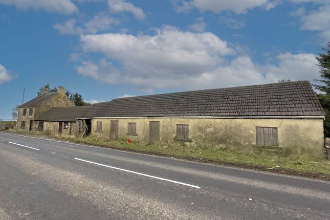 Broom Dykes, Houghton Bank, Darlington photo 2